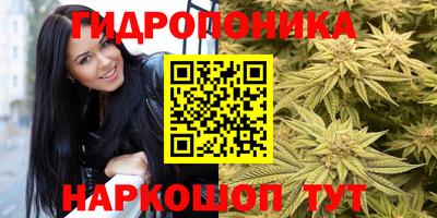 сатива Конаково